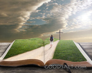 Woman Walking on Bible