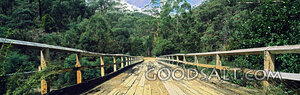 Wooden Bridge With Trees