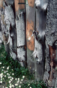 Wooden Pole Fence Detail