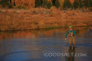 WYOMING. Teton National Park. Man fly fishing at Schwabacher