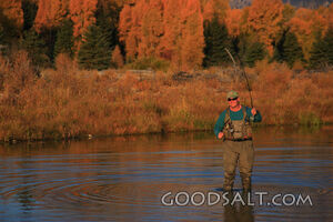 WYOMING. Teton National Park. Man fly fishing at Schwabacher
