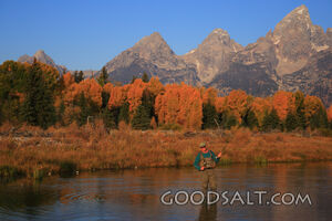 WYOMING. Teton National Park. Man fly fishing at Schwabacher