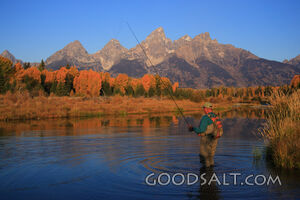WYOMING. Teton National Park. Man fly fishing at Schwabacher