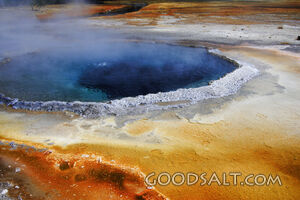 WYOMING. Yellowstone National Park. Crested Pool in the Uppe