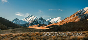 Yellow grass cover in front of spectacular snow peaks.