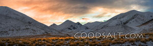 Yellow grass cover in front of spectacular snow peaks.