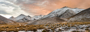 Yellow grass cover in front of spectacular snow peaks.