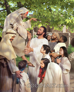 Zacchaeus Helped From the Tree