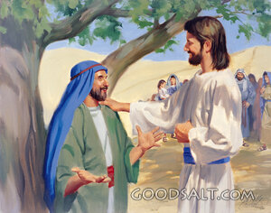 Zacchaeus Wants to See Jesus