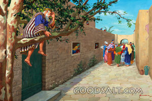 Zacchaeus Watches for Jesus