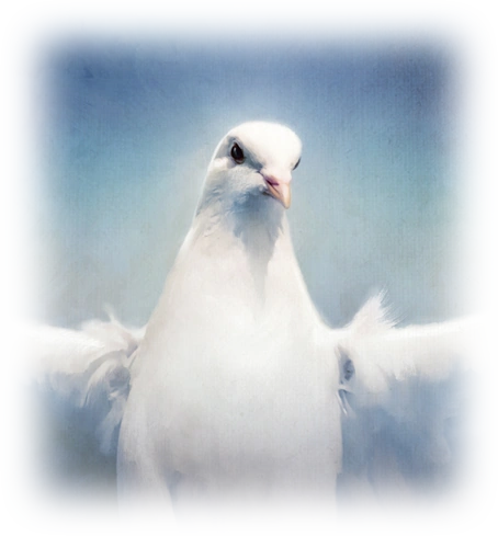 The Gift of the Holy Spirit 